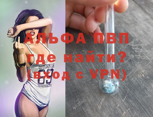 стафф Богданович