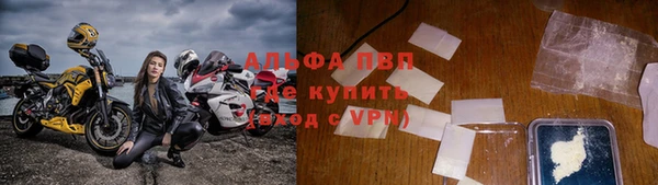 стафф Богданович