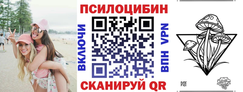 цена   Ахтырский  Псилоцибиновые грибы Cubensis 